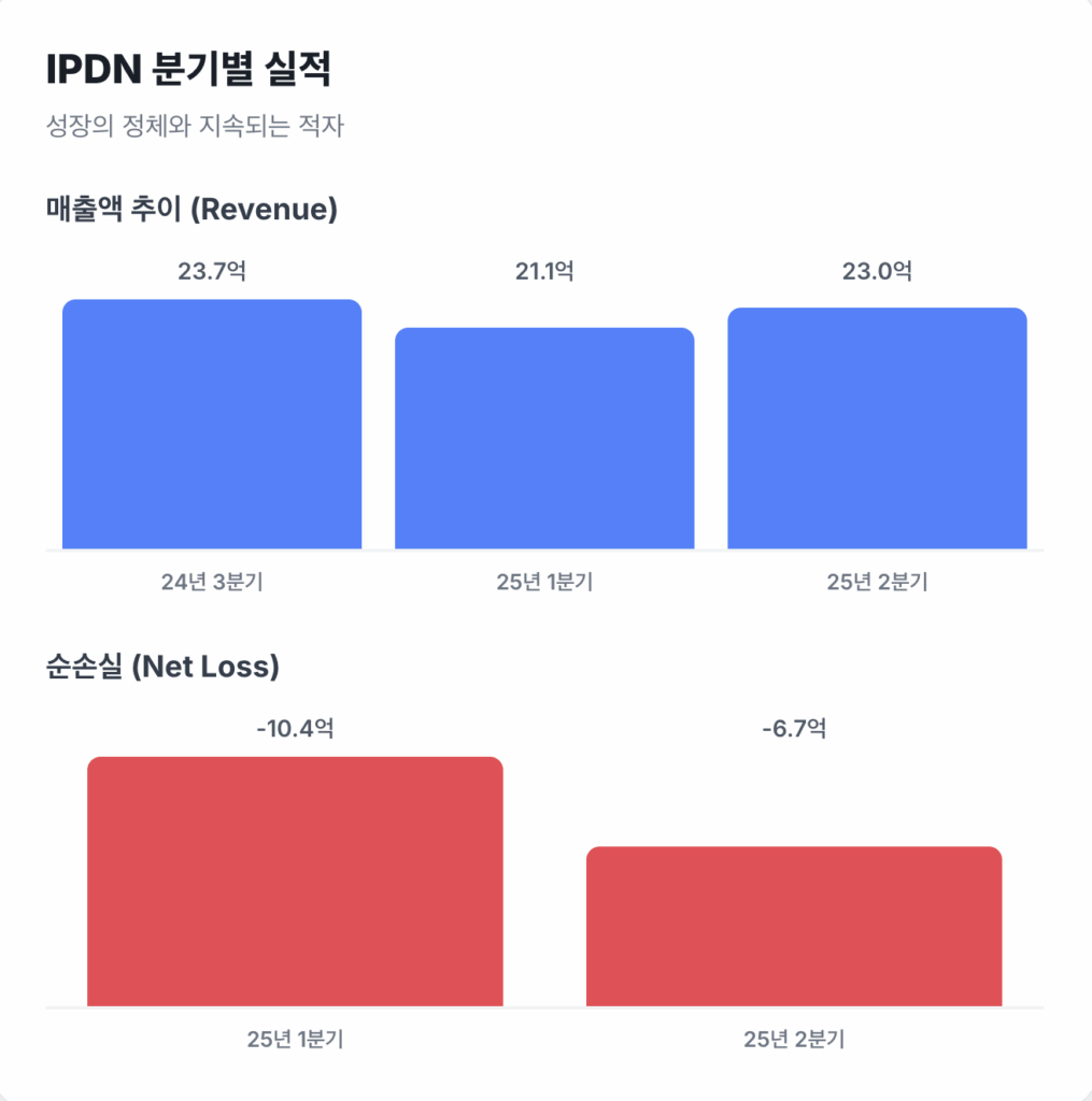 IPDN의 분기별 실적
