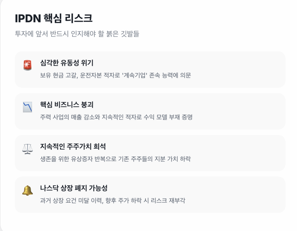 IPDN 투자 핵심 리스크