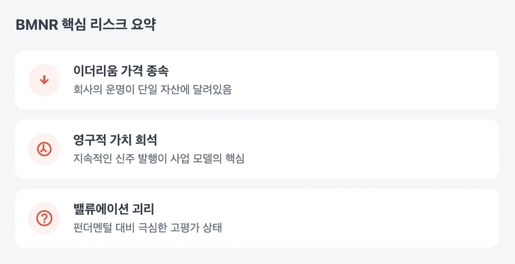 BMNR 투자 핵심리스크 요약