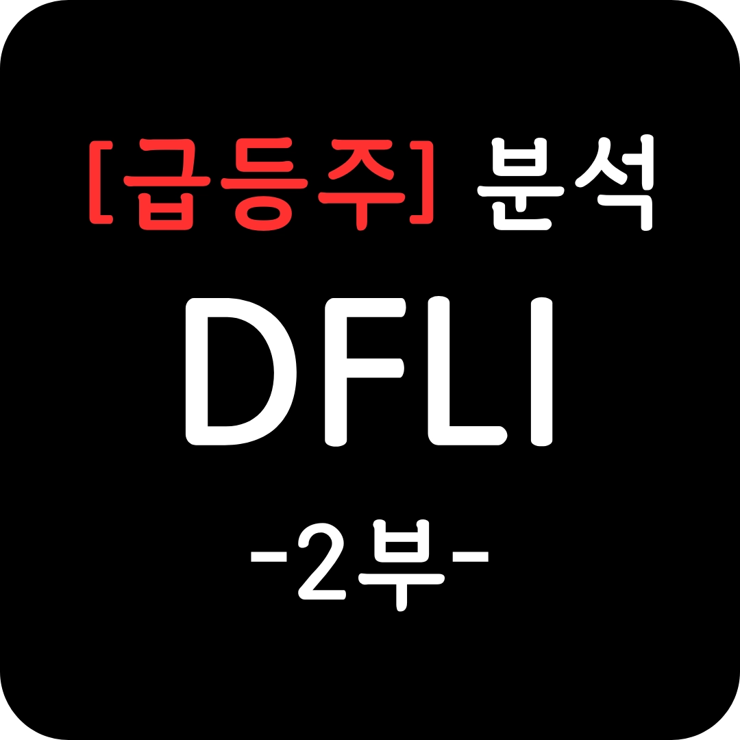 DFLI 주가 심층 분석 2부