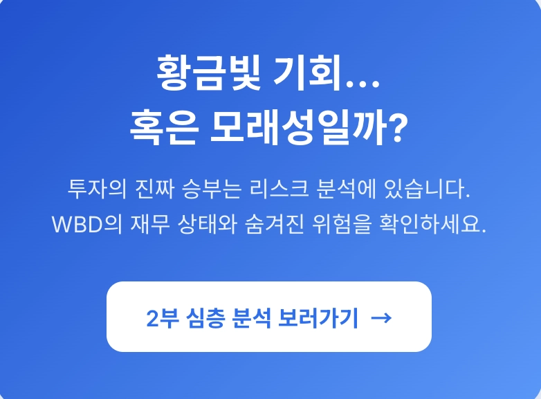 WBD, 재무상태와 숨겨진 위험 확인하기