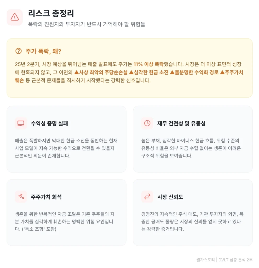 DVLT 투자 리스크 총정리