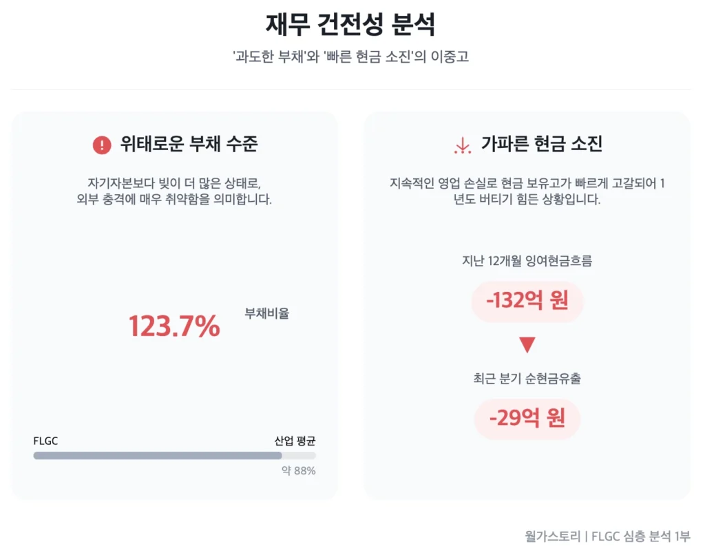 FLGC, 재무 건전성 분석