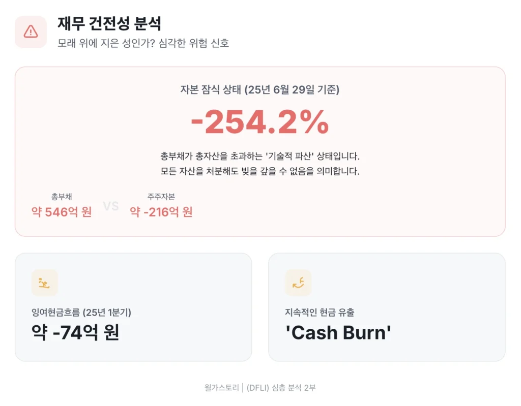 DFLI 재무 건전성 분석