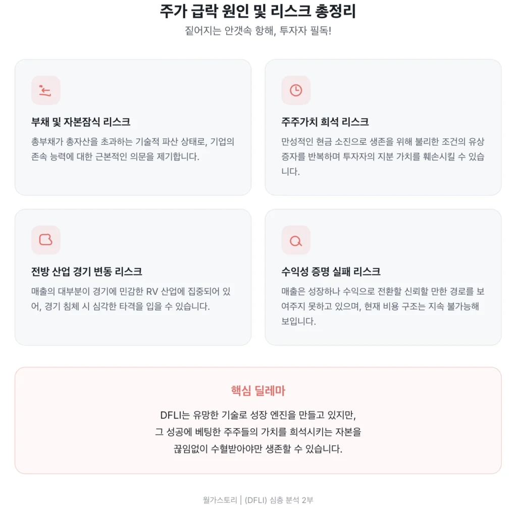 DFLI 투자시 확인해야 할 리스크 총정리