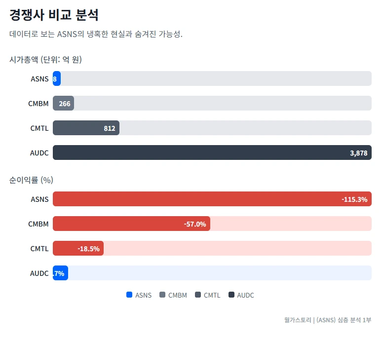ASNS 경쟁사 비교분석
