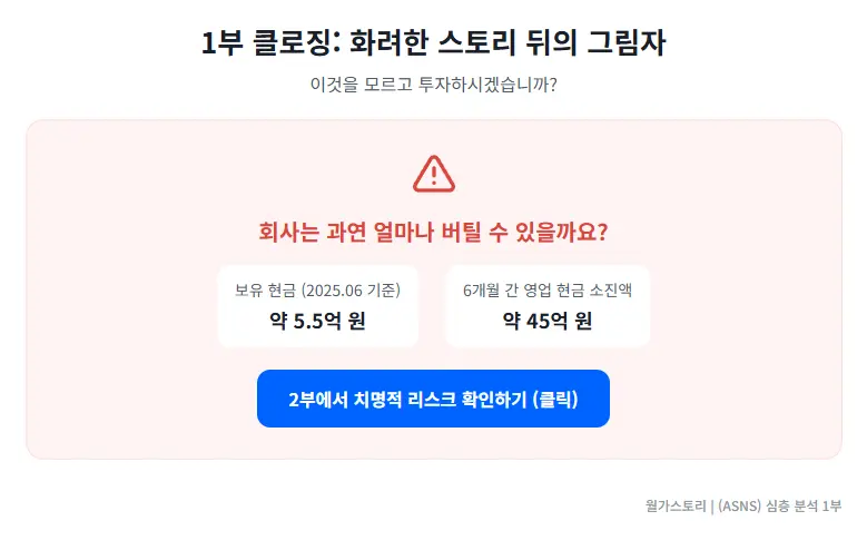 ASNS 2부 재무 분석 바로가기